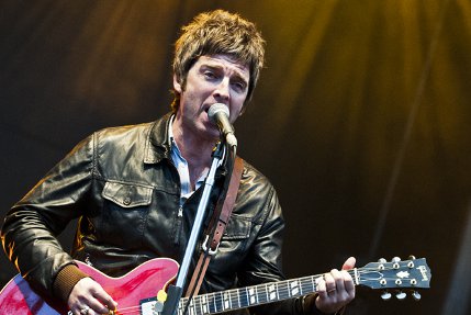 the wombats